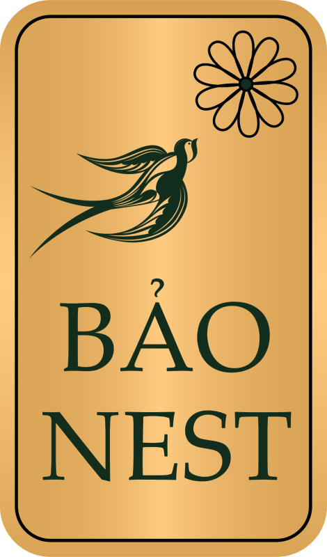 Yến Sào Bảo Nest